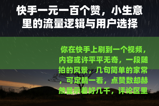 快手一元一百个赞，小生意里的流量逻辑与用户选择