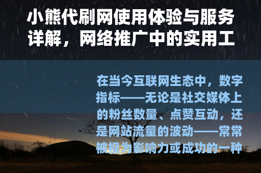 小熊代刷网使用体验与服务详解，网络推广中的实用工具与操作指南