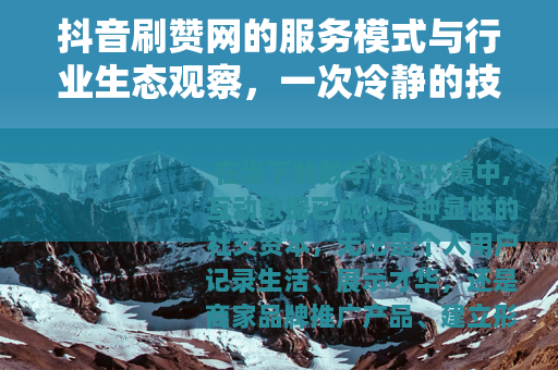 抖音刷赞网的服务模式与行业生态观察，一次冷静的技术市场梳理