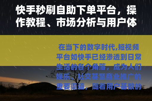 快手秒刷自助下单平台，操作教程、市场分析与用户体验全记录