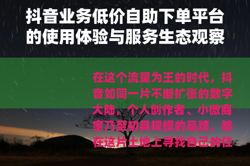 抖音业务低价自助下单平台的使用体验与服务生态观察