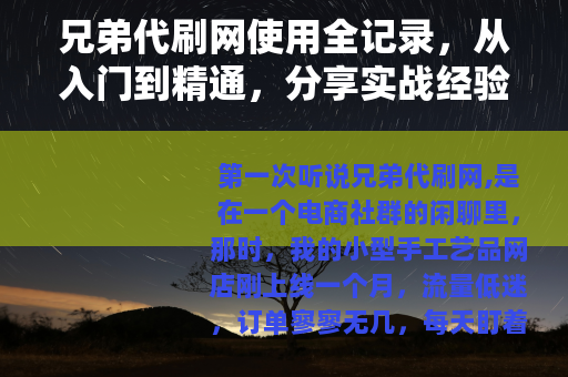 兄弟代刷网使用全记录，从入门到精通，分享实战经验与行业思考