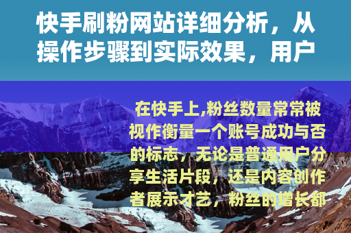 快手刷粉网站详细分析，从操作步骤到实际效果，用户必读指南