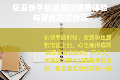 免费快手粉丝网站使用体验与替代方式分享