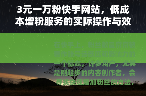 3元一万粉快手网站，低成本增粉服务的实际操作与效果观察