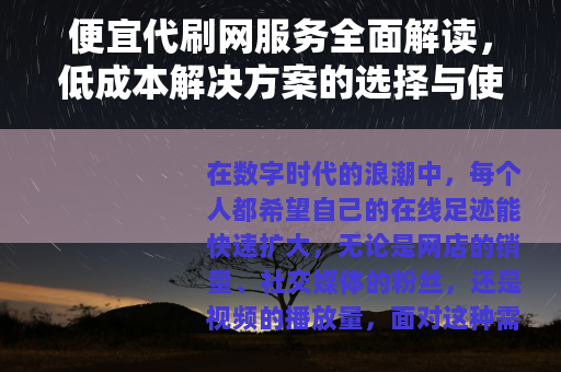 便宜代刷网服务全面解读，低成本解决方案的选择与使用