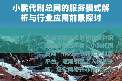 小鹏代刷总网的服务模式解析与行业应用前景探讨