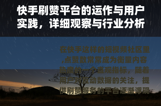 快手刷赞平台的运作与用户实践，详细观察与行业分析