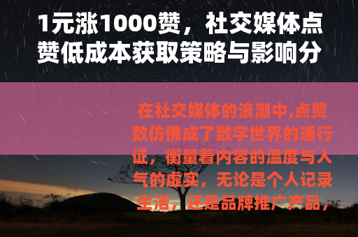 1元涨1000赞，社交媒体点赞低成本获取策略与影响分析