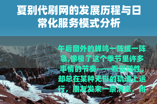 夏别代刷网的发展历程与日常化服务模式分析