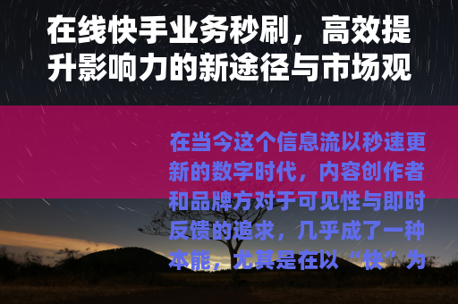 在线快手业务秒刷，高效提升影响力的新途径与市场观察