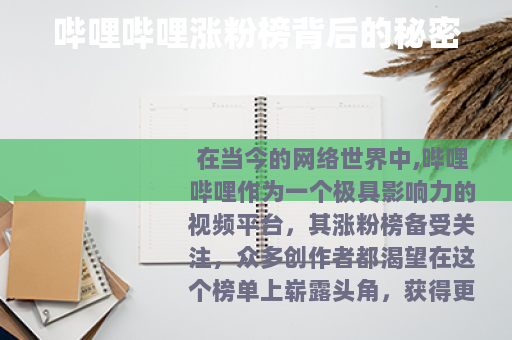 哔哩哔哩涨粉榜背后的秘密