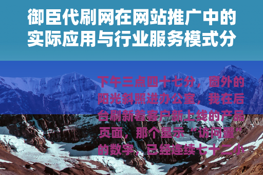 御臣代刷网在网站推广中的实际应用与行业服务模式分析