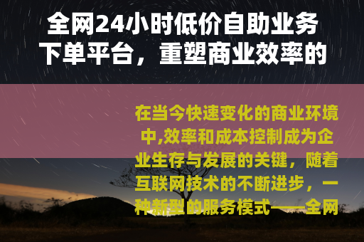 全网24小时低价自助业务下单平台，重塑商业效率的智能工具