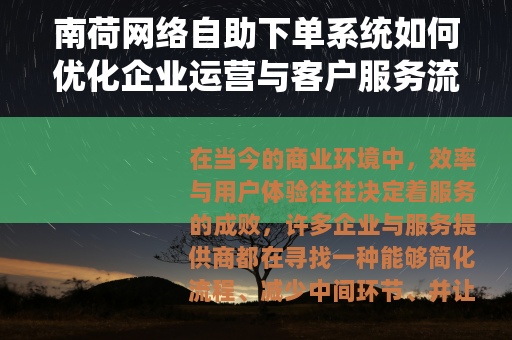 南荷网络自助下单系统如何优化企业运营与客户服务流程