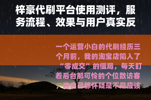 梓豪代刷平台使用测评，服务流程、效果与用户真实反馈分析