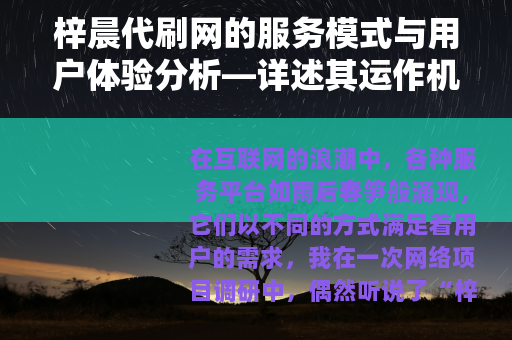 梓晨代刷网的服务模式与用户体验分析—详述其运作机制与市场定位