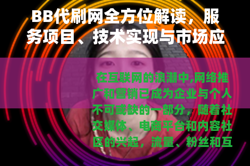 BB代刷网全方位解读，服务项目、技术实现与市场应用深度分析