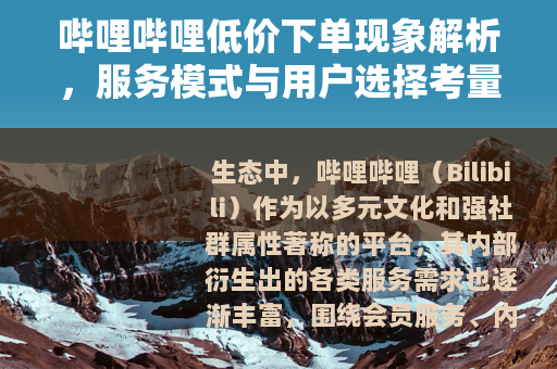 哔哩哔哩低价下单现象解析，服务模式与用户选择考量