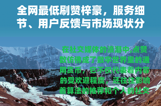 全网最低刷赞梓豪，服务细节、用户反馈与市场现状分析