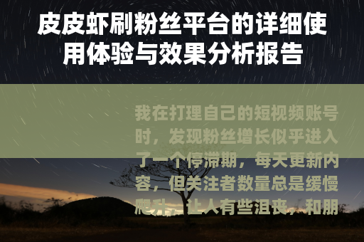皮皮虾刷粉丝平台的详细使用体验与效果分析报告