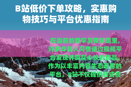 B站低价下单攻略，实惠购物技巧与平台优惠指南