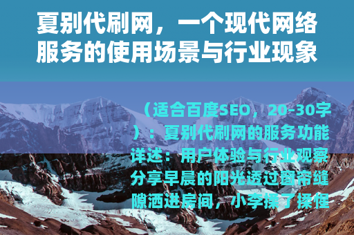 夏别代刷网，一个现代网络服务的使用场景与行业现象分析