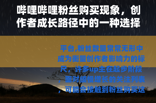 哔哩哔哩粉丝购买现象，创作者成长路径中的一种选择