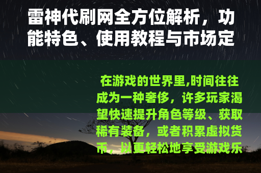 雷神代刷网全方位解析，功能特色、使用教程与市场定位