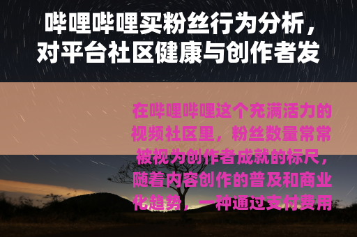 哔哩哔哩买粉丝行为分析，对平台社区健康与创作者发展的多重影响