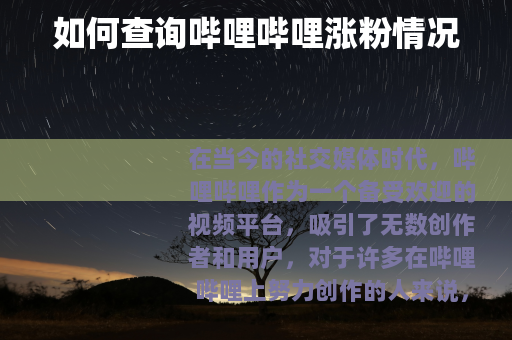 如何查询哔哩哔哩涨粉情况