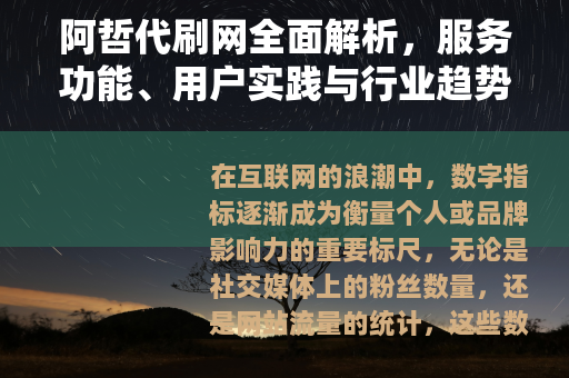 阿哲代刷网全面解析，服务功能、用户实践与行业趋势深度探讨