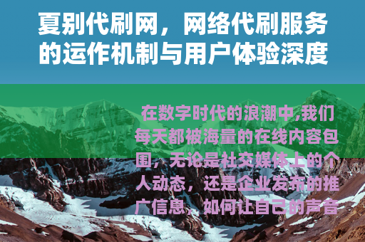 夏别代刷网，网络代刷服务的运作机制与用户体验深度分析