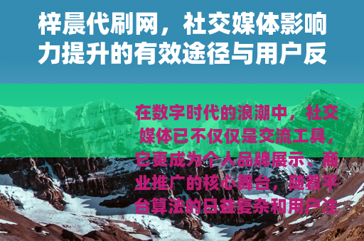 梓晨代刷网，社交媒体影响力提升的有效途径与用户反馈
