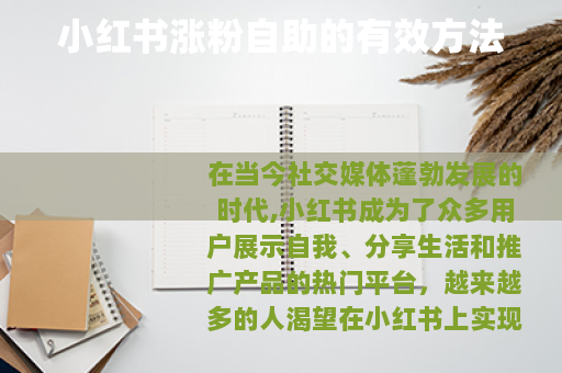 小红书涨粉自助的有效方法