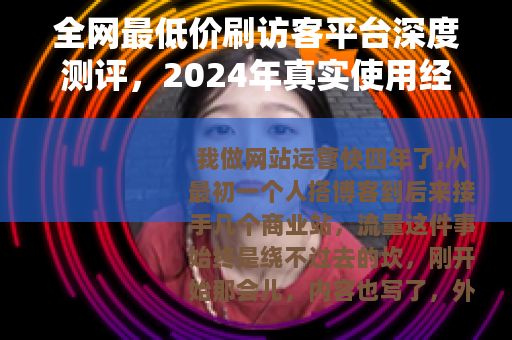 全网最低价刷访客平台深度测评，2024年真实使用经验分享