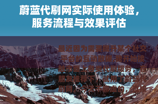 蔚蓝代刷网实际使用体验，服务流程与效果评估