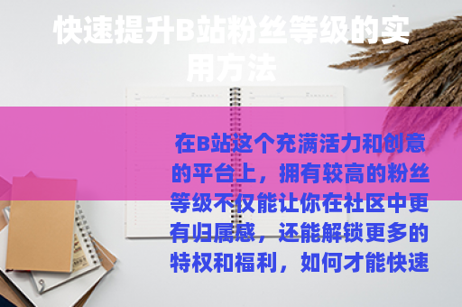 快速提升B站粉丝等级的实用方法