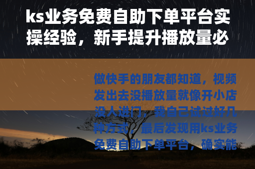 ks业务免费自助下单平台实操经验，新手提升播放量必看指南