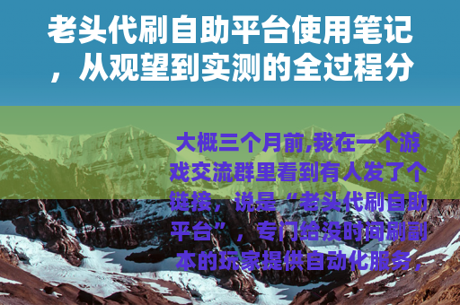 老头代刷自助平台使用笔记，从观望到实测的全过程分享