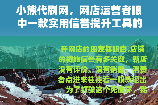 小熊代刷网，网店运营者眼中一款实用信誉提升工具的真实体验