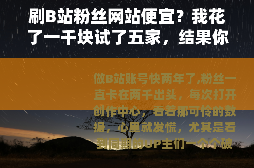 刷B站粉丝网站便宜？我花了一千块试了五家，结果你可能想不到