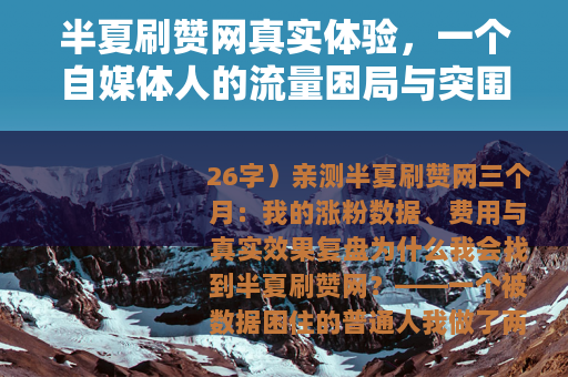 半夏刷赞网真实体验，一个自媒体人的流量困局与突围尝试