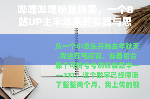 哔哩哔哩粉丝购买，一个B站UP主半年来的实践与思考