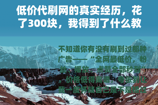 低价代刷网的真实经历，花了300块，我得到了什么教训