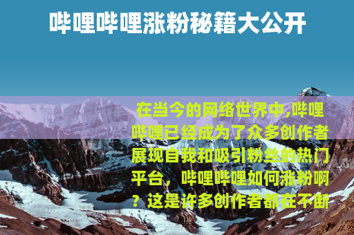 哔哩哔哩涨粉秘籍大公开