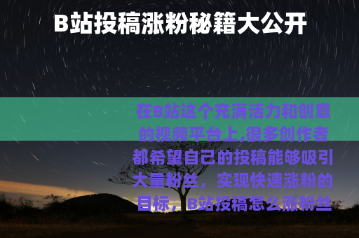 B站投稿涨粉秘籍大公开