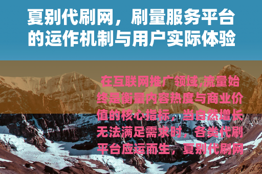 夏别代刷网，刷量服务平台的运作机制与用户实际体验分析