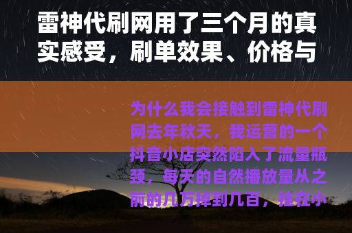 雷神代刷网用了三个月的真实感受，刷单效果、价格与风险全记录