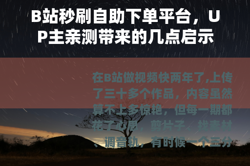 B站秒刷自助下单平台，UP主亲测带来的几点启示